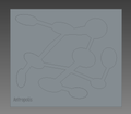Antropolis Vertical 20